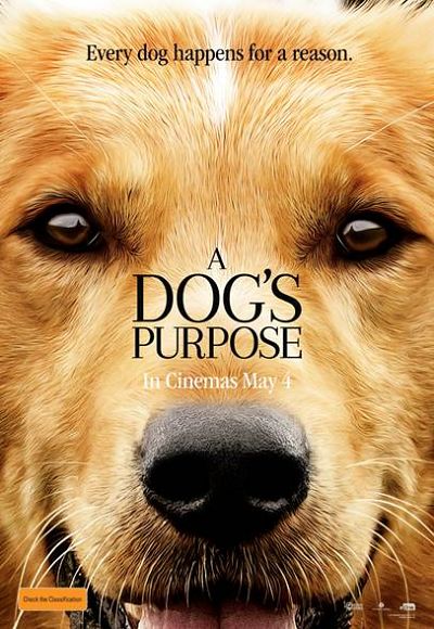 A DOG’S PURPOSE