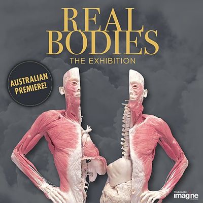 Real Bodies The Exhibition