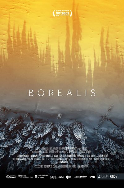 TRANSITIONS FILM FESTIVAL |Borealis