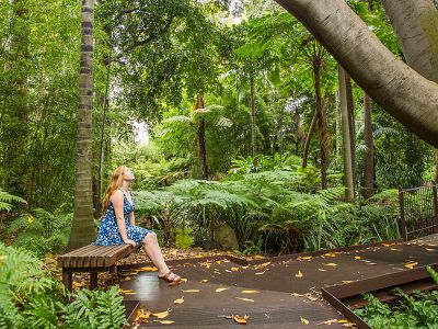 Forest Therapy (Shinrin-Yoku) Melbourne Gardens