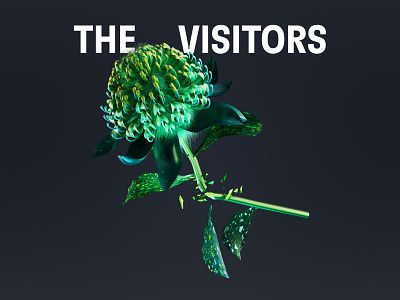 The Visitors