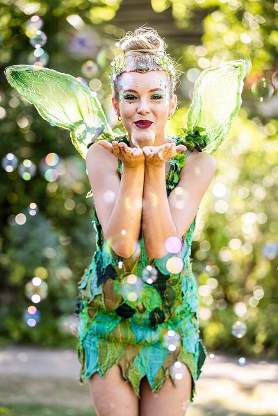 TINKERBELL AND THE DREAM FAIRIES