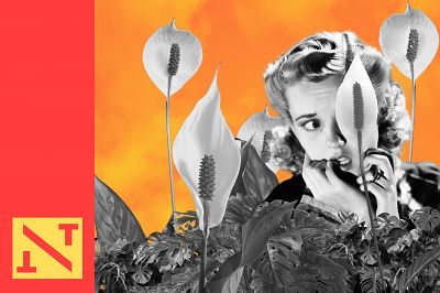 THE DAY OF THE TRIFFIDS