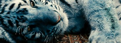 The Blue Tiger - Modrý tygr (2011, Czech Republic, Germany & Slovakia, 90 minutes, 35mm)