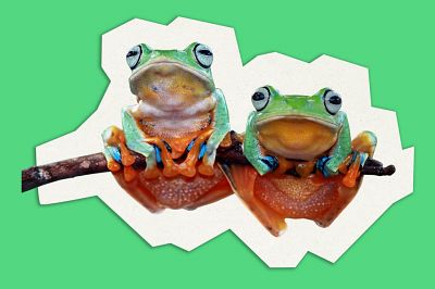 THE FROGS: IN HELL THEY SING SHOW TUNES