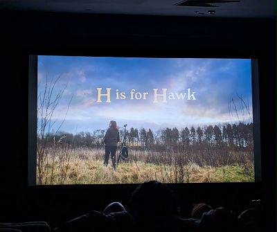 H is for Hawk