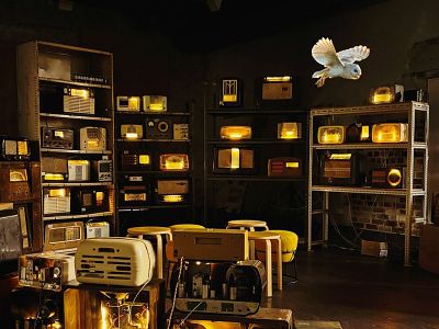 The Enormous Radio | Fringe Festival